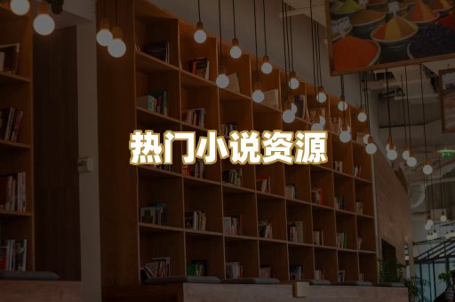 热门小说资源